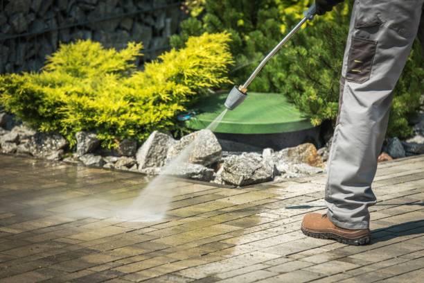 Best Spring Cleaning  in Harrington Park, NJ