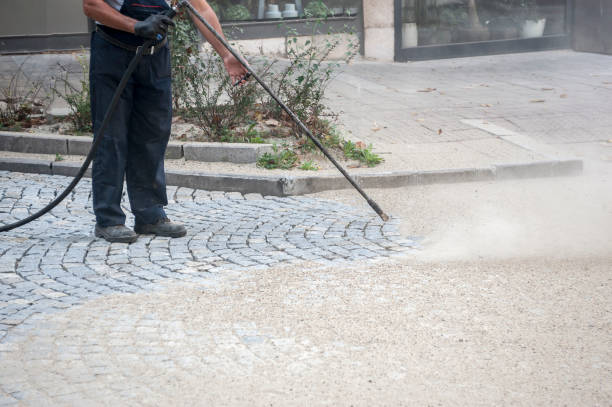 Best Dumpster Area Cleaning  in Harrington Park, NJ
